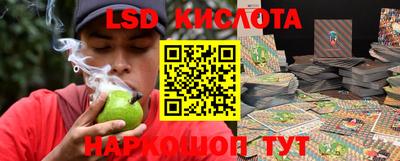 индика Братск
