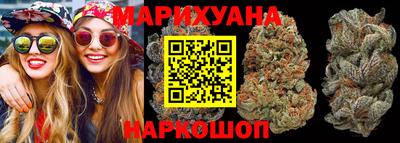 индика Братск