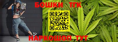 индика Братск