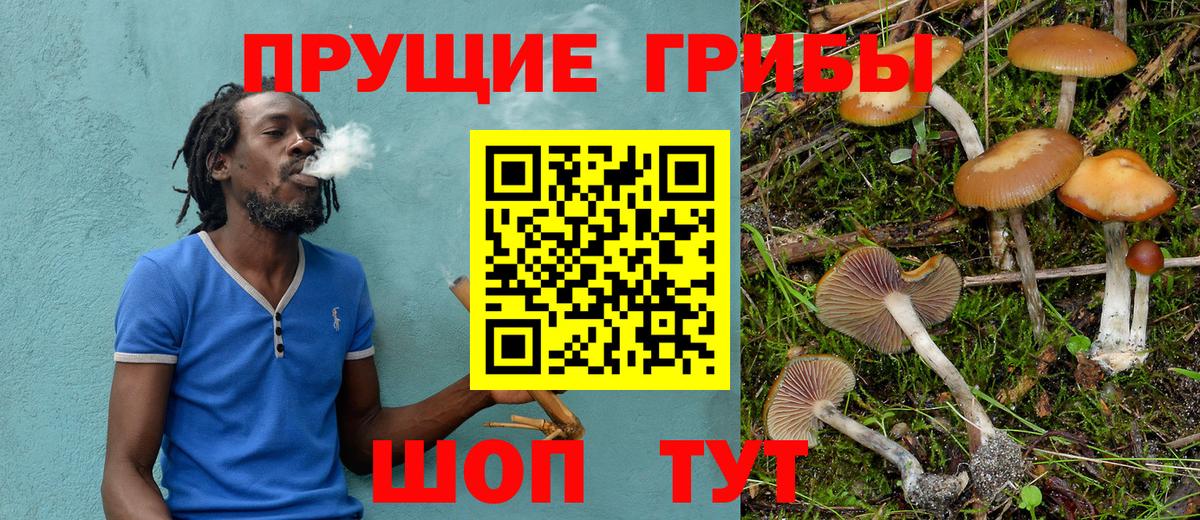 Псилоцибиновые грибы Psilocybe  Псилоцибиновые грибы Psilocybine cubensis  Вход с VPN  Сызрань 