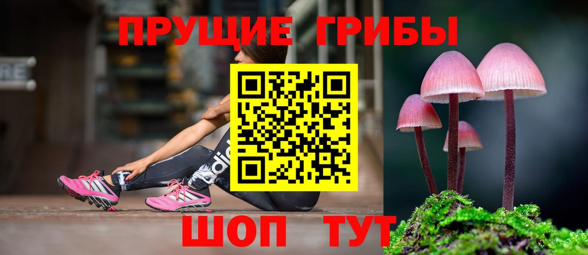 Псилоцибиновые грибы GOLDEN TEACHER Сызрань